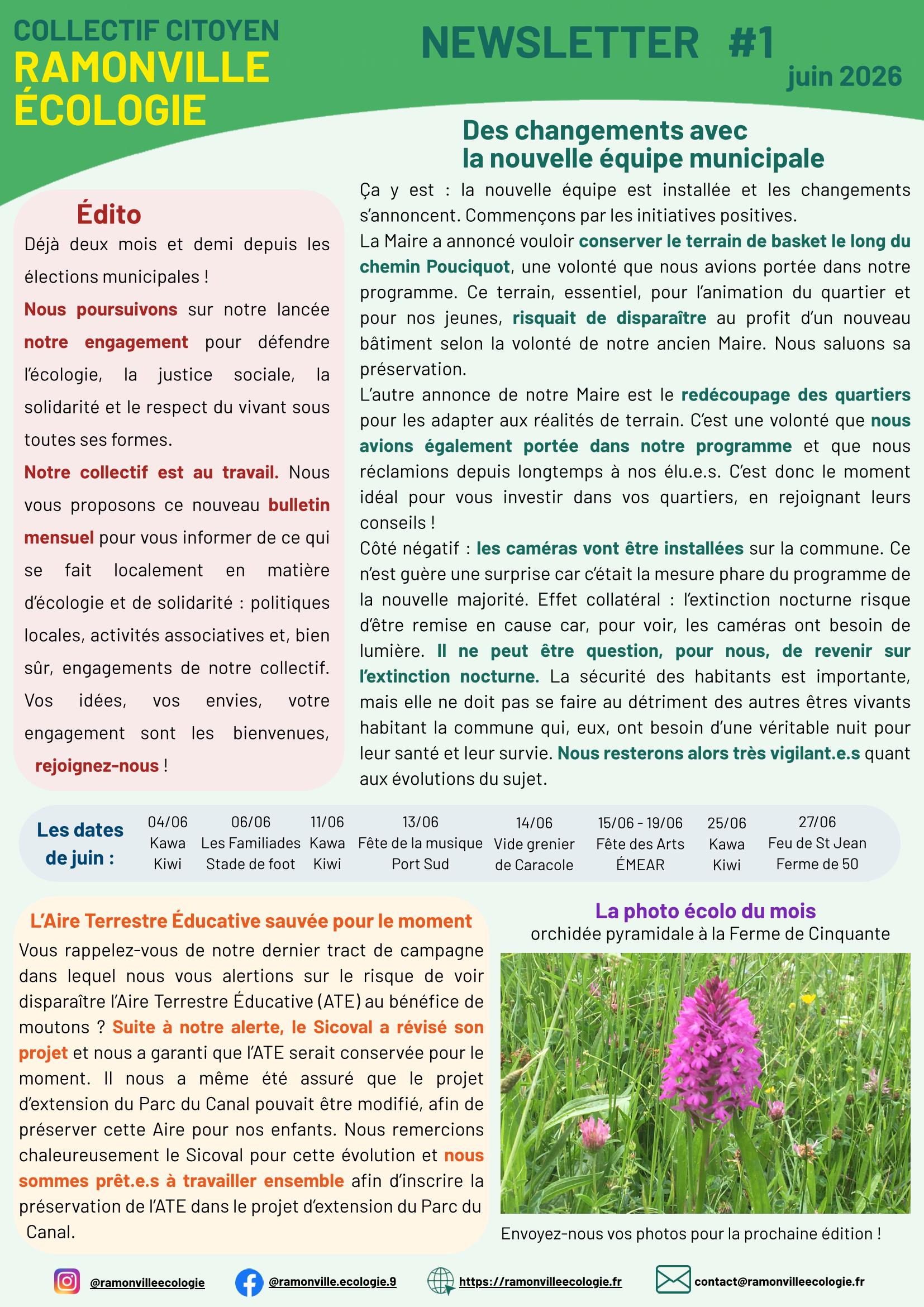 newsletter 1